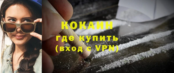 индика Пестово
