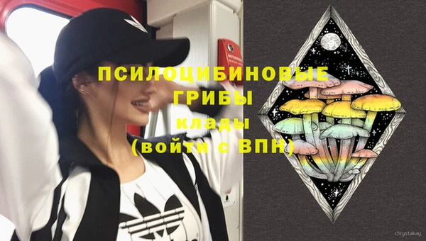ALPHA PVP Алексин