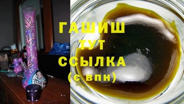 индика Пестово