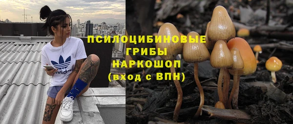 ALPHA PVP Алексин