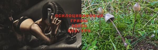 скорость Алексеевка